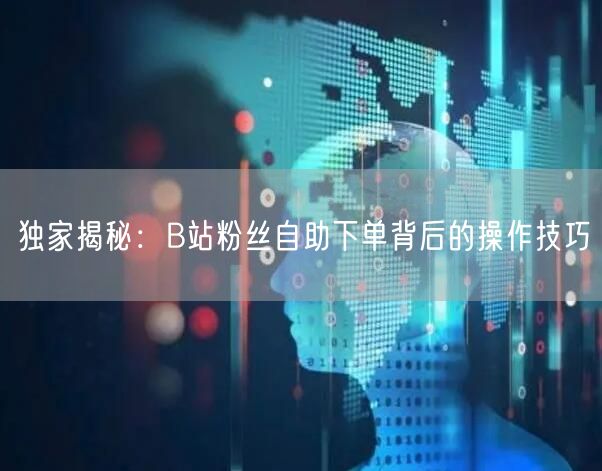 独家揭秘：B站粉丝自助下单背后的操作技巧
