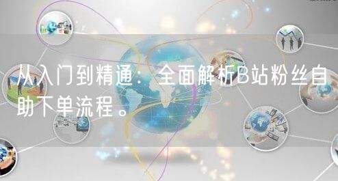 从入门到精通：全面解析B站粉丝自助下单流程。