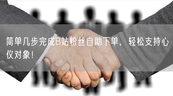 简单几步完成B站粉丝自助下单，轻松支持心仪对象！
