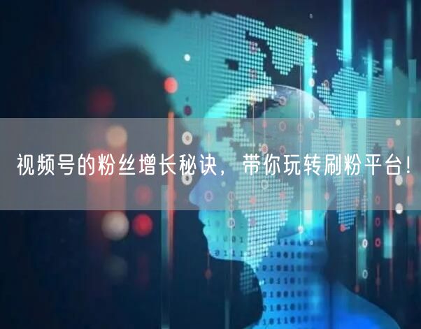 视频号的粉丝增长秘诀，带你玩转刷粉平台！
