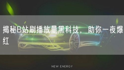 揭秘B站刷播放量黑科技，助你一夜爆红