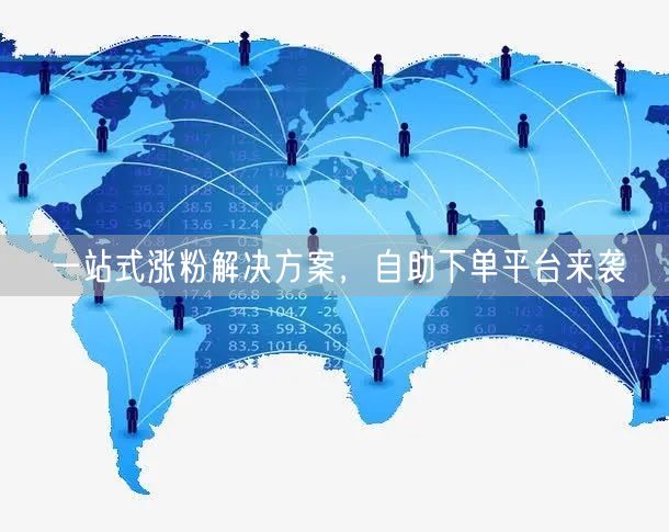一站式涨粉解决方案，自助下单平台来袭