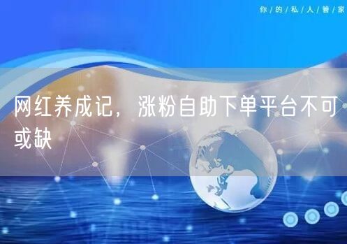 网红养成记，涨粉自助下单平台不可或缺