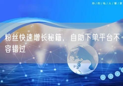 粉丝快速增长秘籍，自助下单平台不容错过