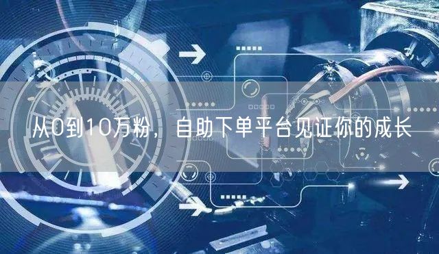 从0到10万粉，自助下单平台见证你的成长