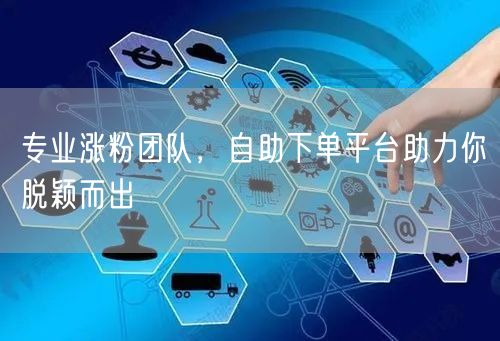 专业涨粉团队，自助下单平台助力你脱颖而出