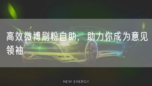 高效微博刷粉自助，助力你成为意见领袖